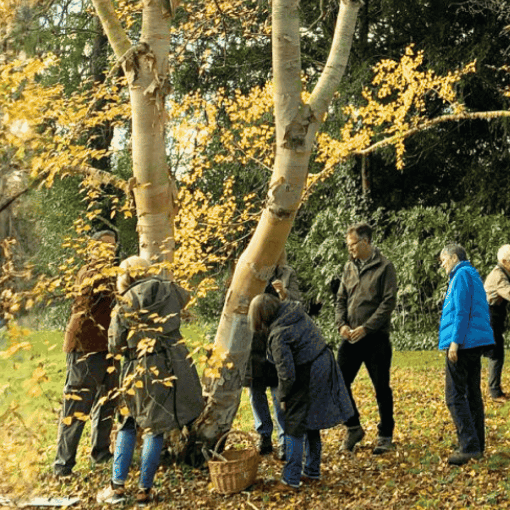 Culture and nature for Carer wellbeing