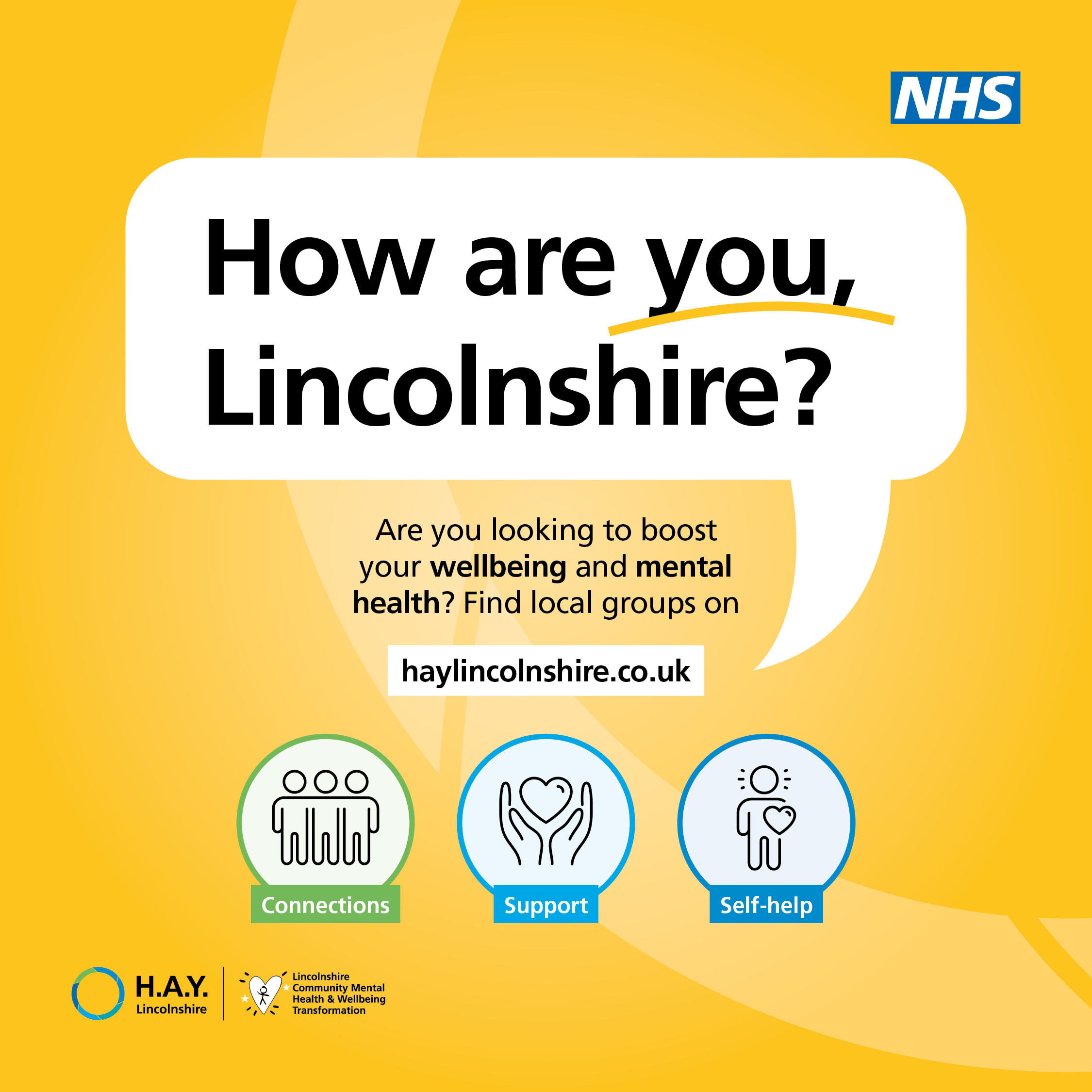 J43250_NHS_Lincolnshire_HAY_Graphics_SM Instagram.png